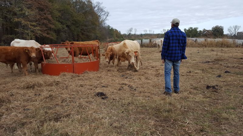Jason on the Family Farm