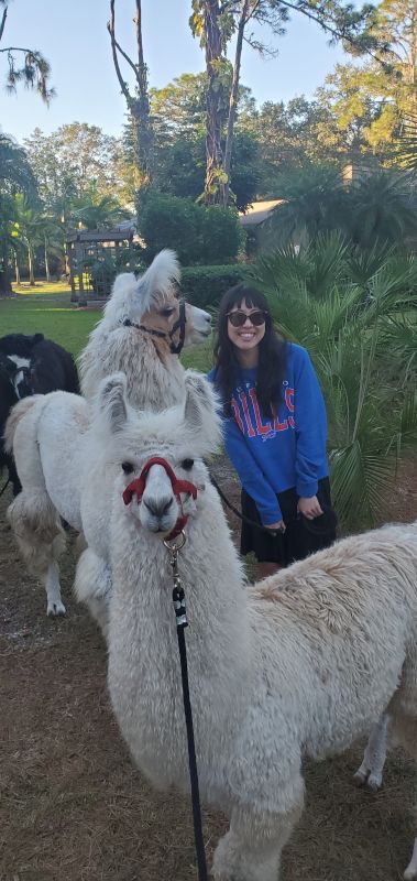 Petting Alpacas!