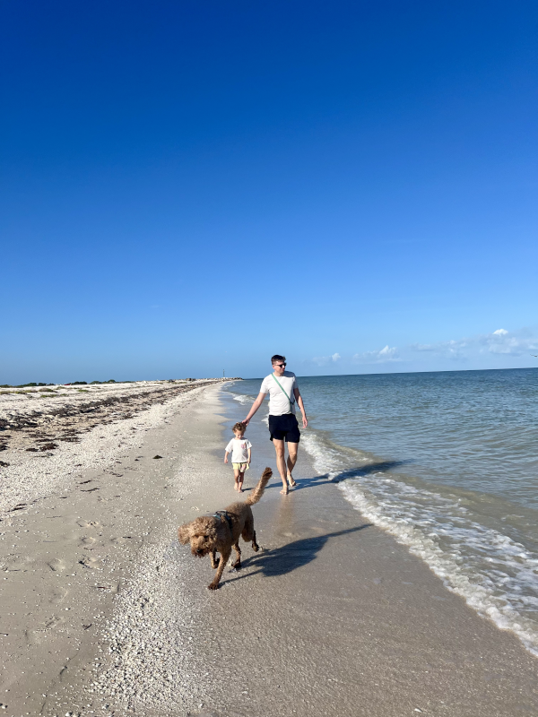 Morning Walks on Our Favorite Beach