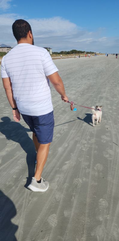 Meschach Walking Carmen on the Beach