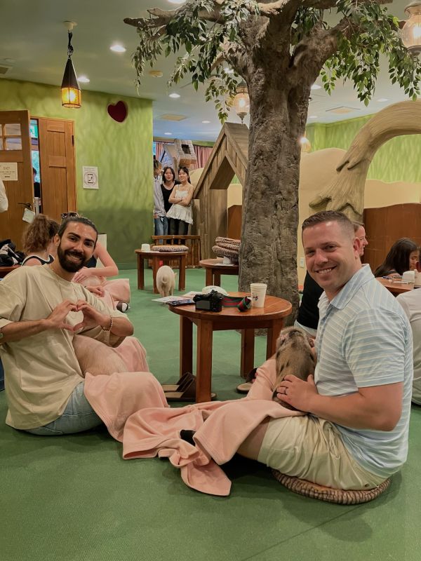 At a Mini Pig Cafe in Japan