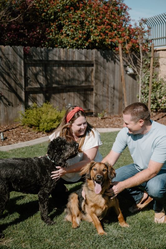 In Our Backyard With Our Pups, Enzo & Bosa
