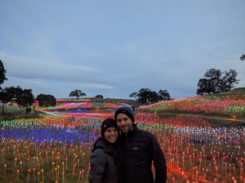 Flower Fields at Night