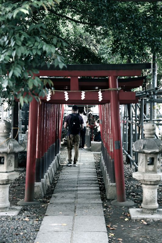 Scott  Exploring Japan