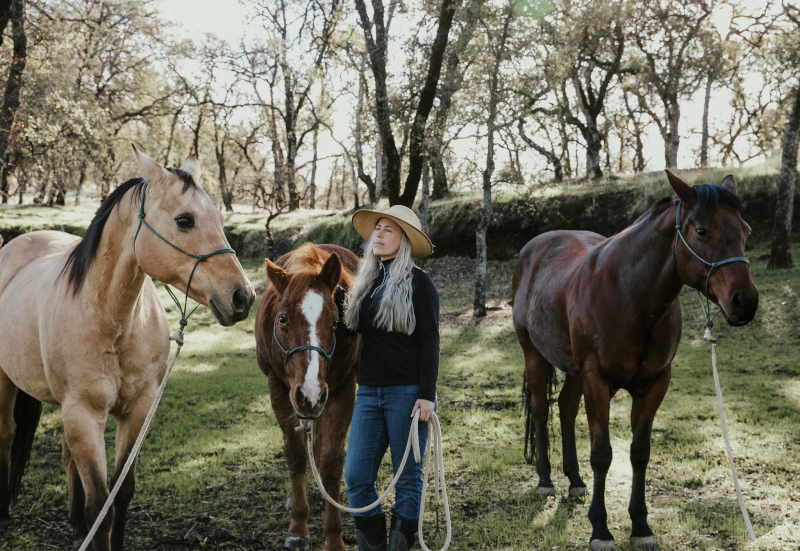 Michelle and Her Horses