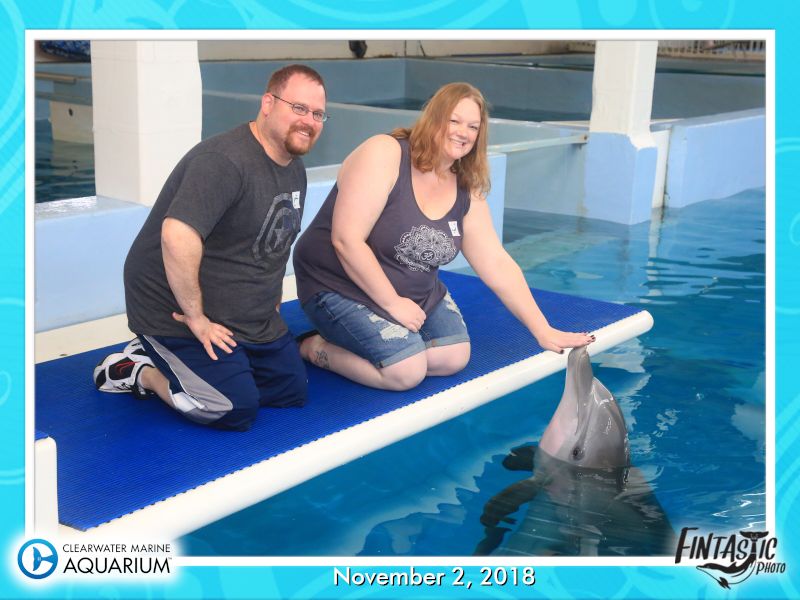 Meeting Winter the Dolphin From the Movie Dolphin Tale