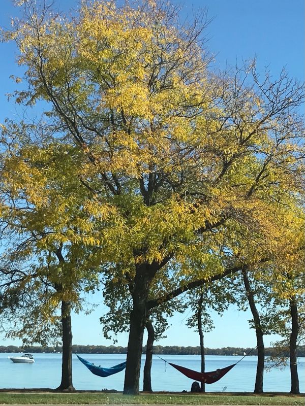 Relaxing by the Lake