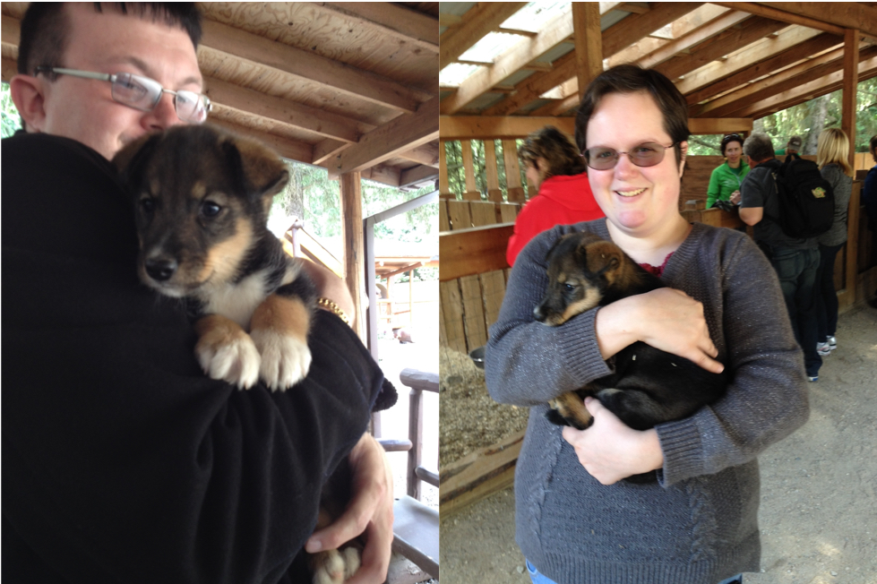 Playing With Sled Dog Puppies in Alaska