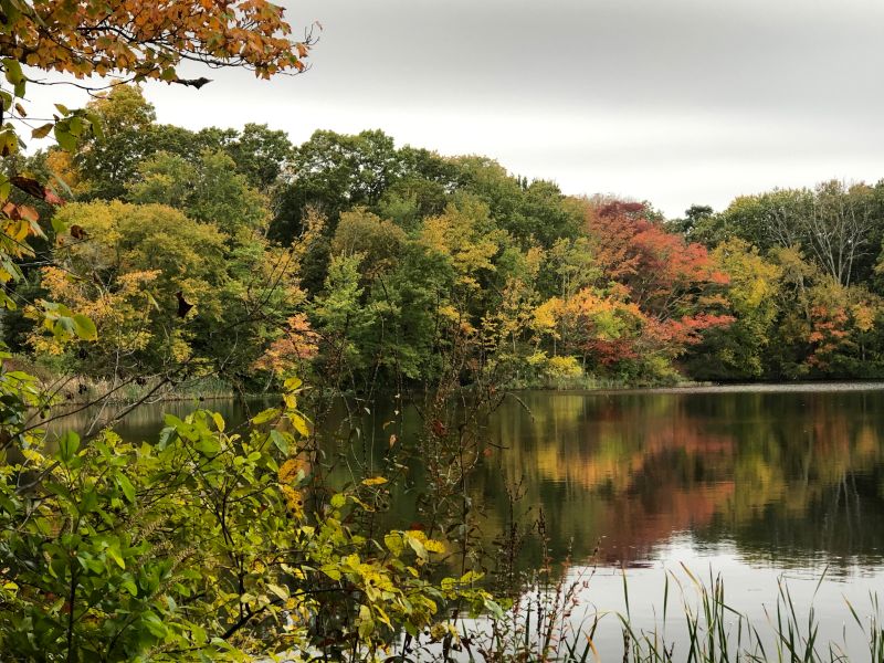 Neighborhood Lake