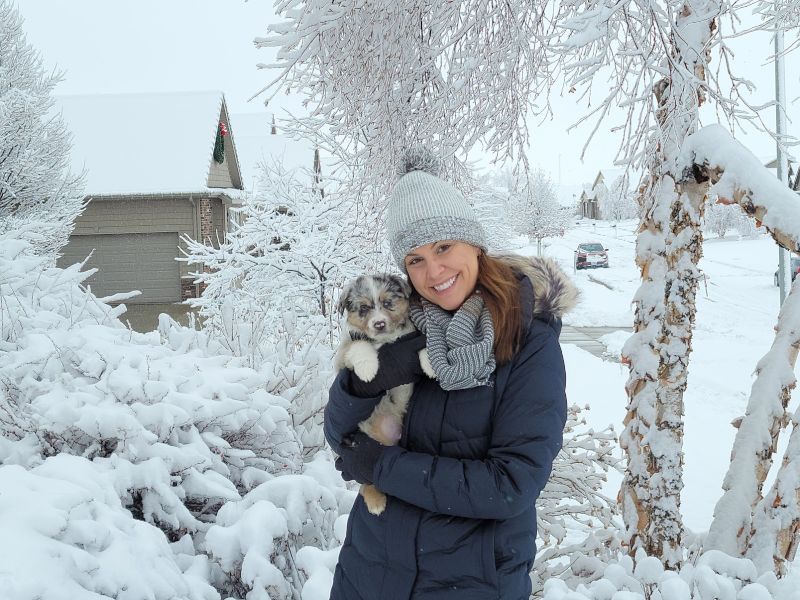 Playing in the Snow With Huck