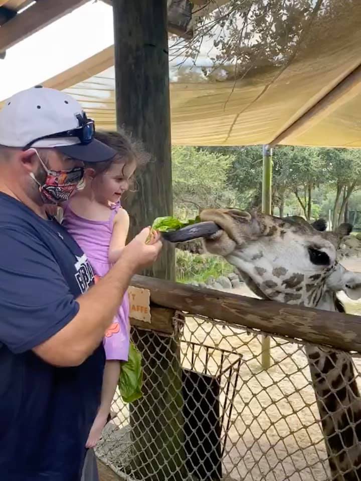 Feeding a Giraffe at the Zoo